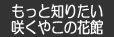 もっと知りたい咲くやこの花館