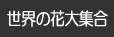 世界の花大集合
